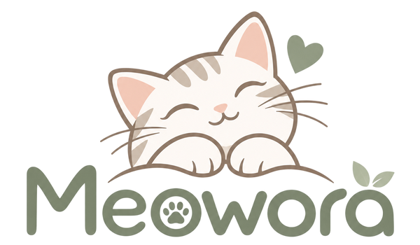 meowora.online
